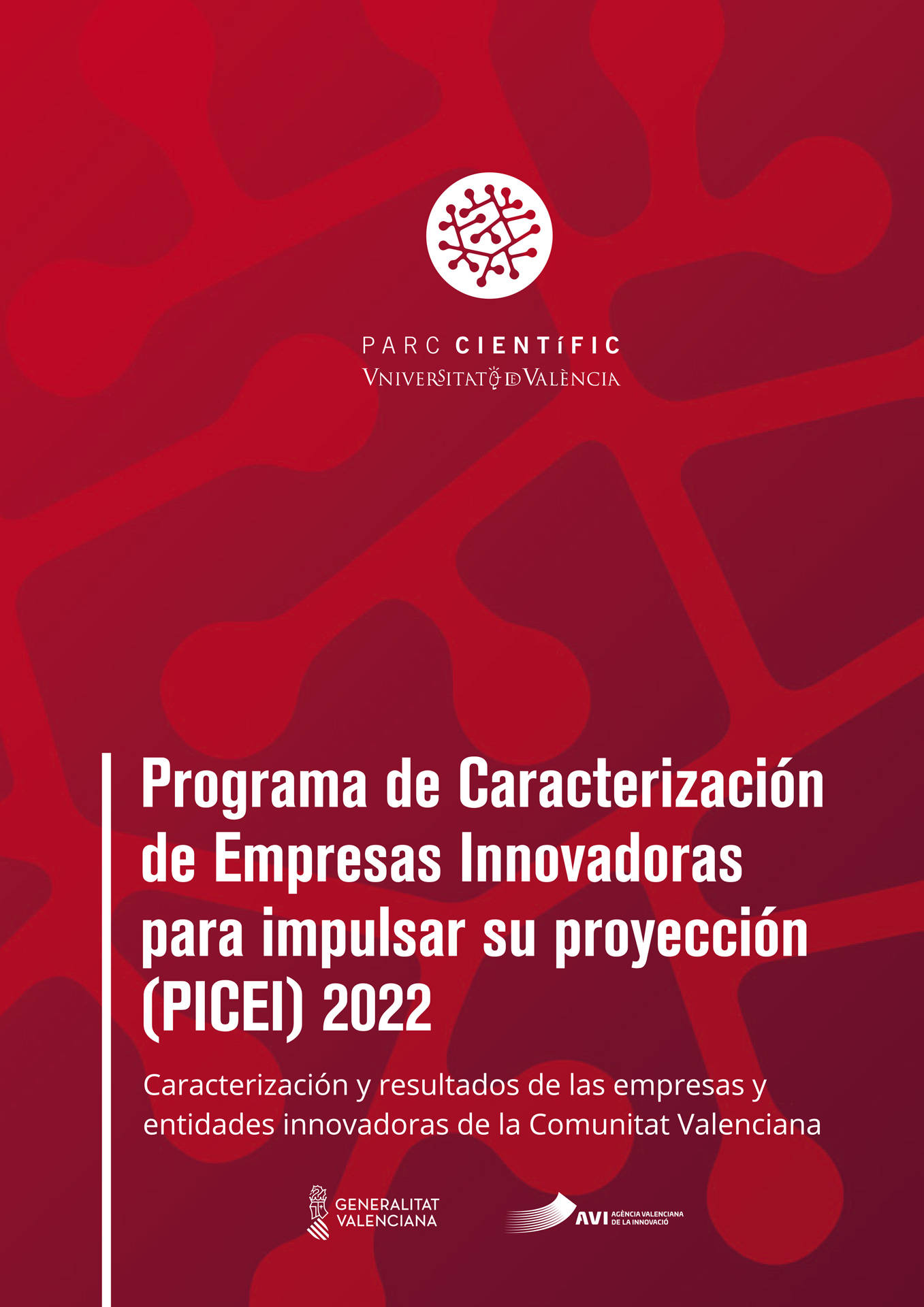 Informe PICEI