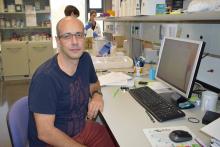 Detectar con una prueba patologías genéticas y anomalías cromosómicas en embriones de fecundación in vitro