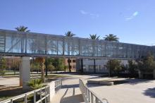 Talento, consolidación de empresas e innovación en Elche Campus Tech