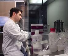La empresa Bioarray del PCUMH desarrolla una técnica de diagnóstico genético que incrementa la tasa de éxito en la fecundación in vitro