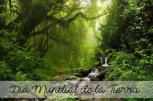 CoambCV se involucra en políticas regionales para la preservación del medioambiente 