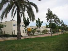 El Instituto de Bioingeniería de la UMH reúne en Elche a 150 expertos en la biología molecular del crecimiento de las plantas