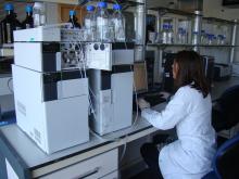 Nutracitrus elabora un extracto en polvo con numerosos beneficios a partir de la corteza de la granada mollar 