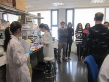 Estudié biotecnología ¿Ahora qué?