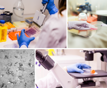 La spin-off ha recibido financiación pública a través de programas como CREATEC-CV, RETOS o NEOTEC, entre otros