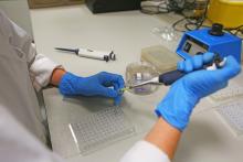 Actualmente Iberogen opera en 15 países de Europa, América, Asia y Áfric