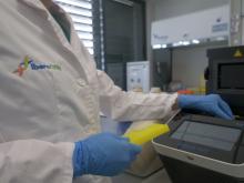 Iberogen, ha decidido extrapolar sus conocimientos en materia de análisis genético en aves al sector agrotecnológico