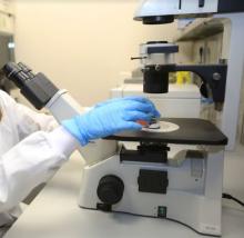 Prospera Biotech supera con éxito los ensayos de seguridad de su producto para pieles sensibles por quimioterapia 