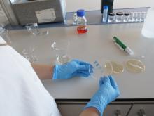 La empresa ha desarrollado una etiqueta biodegradable capaz de detectar el estado de descomposición de un alimento