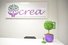 Las promotoras de Centro CREA consiguen financiación de la Fundación Alicia Koplowitz para una investigación sobre TCA