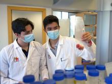 Freeshakes, segunda fase Team Up