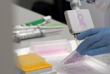 Con motivo del Día Internacional contra el Cáncer, que se celebra mañana viernes, 4 de febrero, es importante resaltar la labor que realizan estas compañías