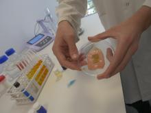 Oscillum, reconocida en los premios Ingenia Startup