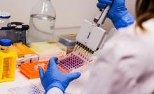 Una línea de productos para tratar la dermatitis en animales: colaboración entre  AntalGenics y la empresa veterinaria Vetilea