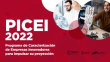 Conclusiones Informe PICEI 2022