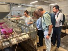 El Parque Científico de la UMH asiste al III Encuentro de Transferencia UMH